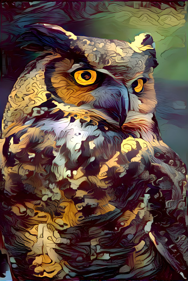 owl