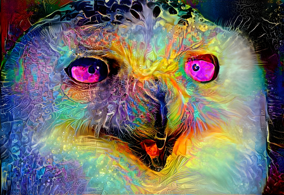 owl