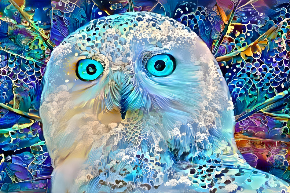 owl