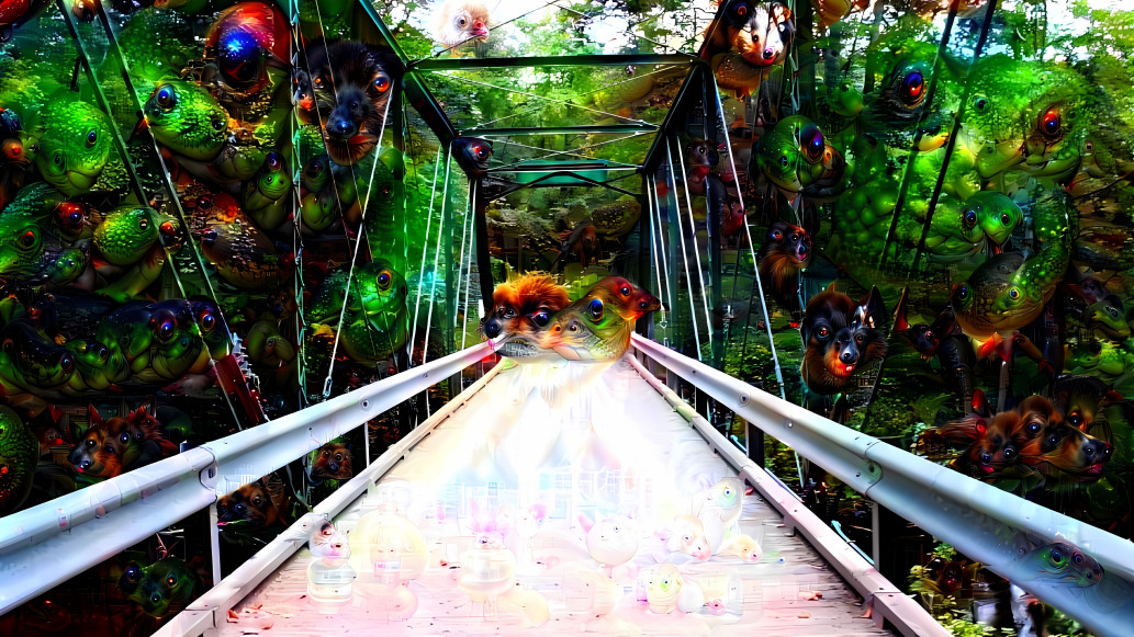 Bridge Dream