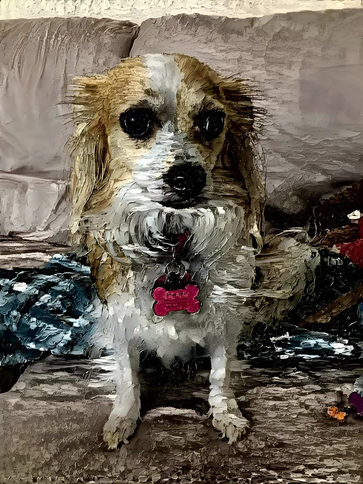 Penny the Papillon 2