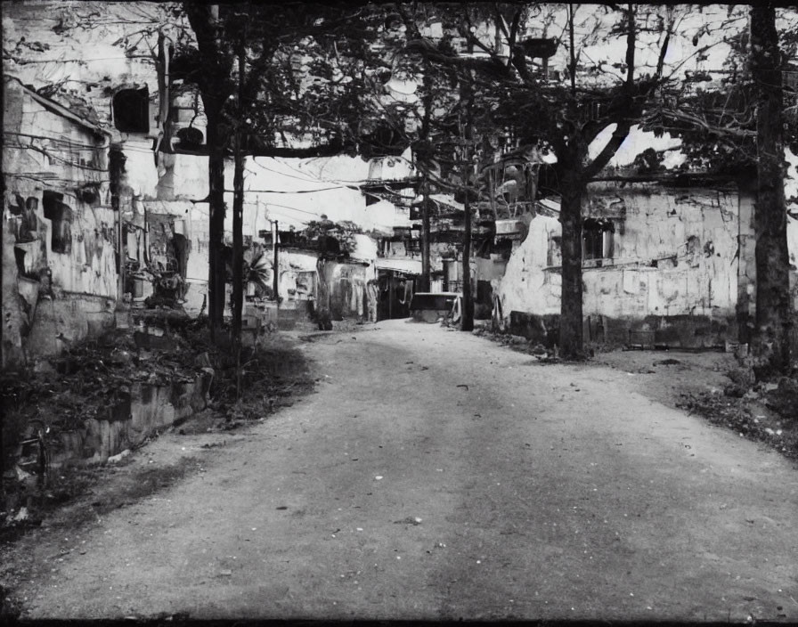 Desolate street scene with dilapidated buildings and bare trees