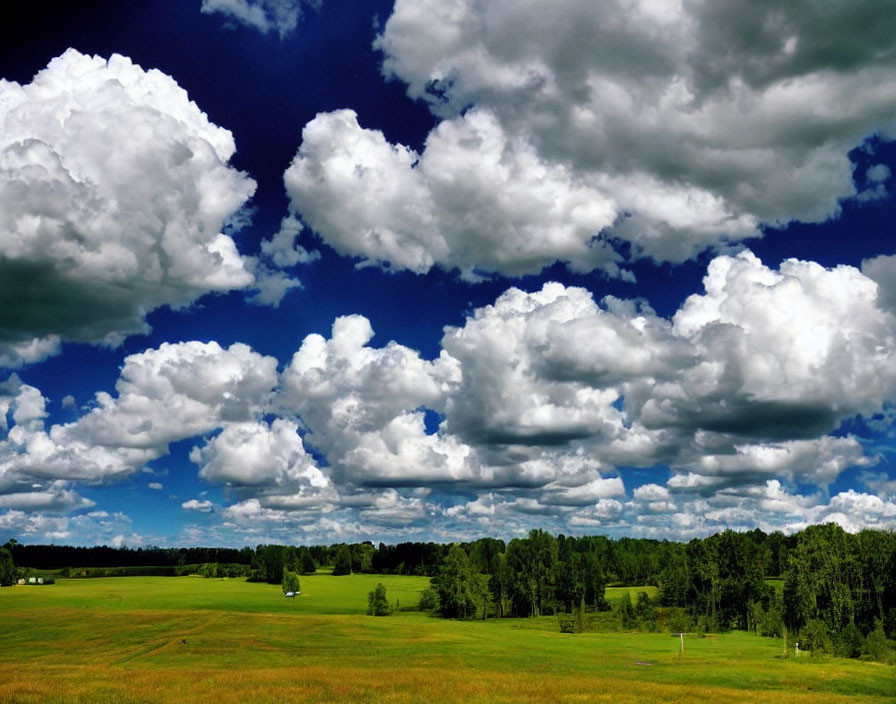 Dynamic Blue Sky and Lush Green Landscape Scene