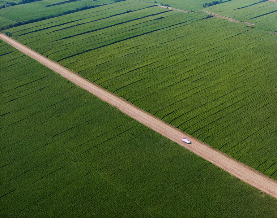 Aerial View of Car on Straight Dirt Road Amid Green Agricultural Fields