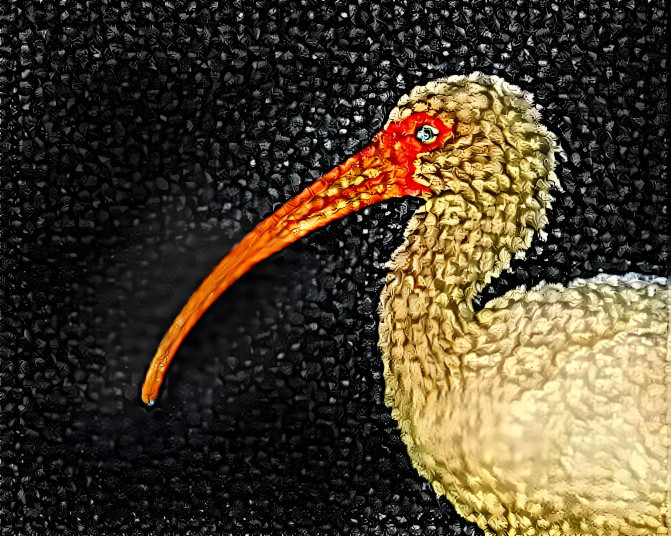 Starry Ibis