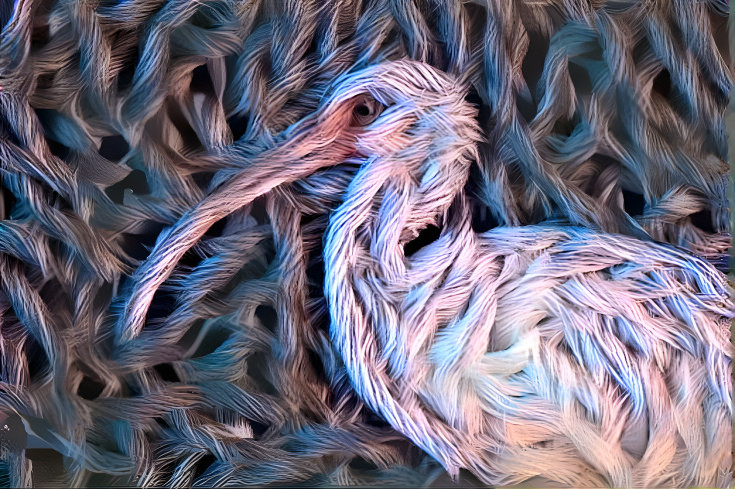 Woven Ibis