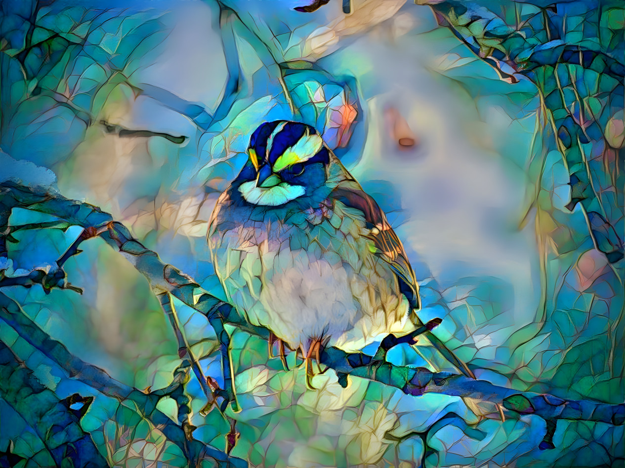 White-throated Sparrow