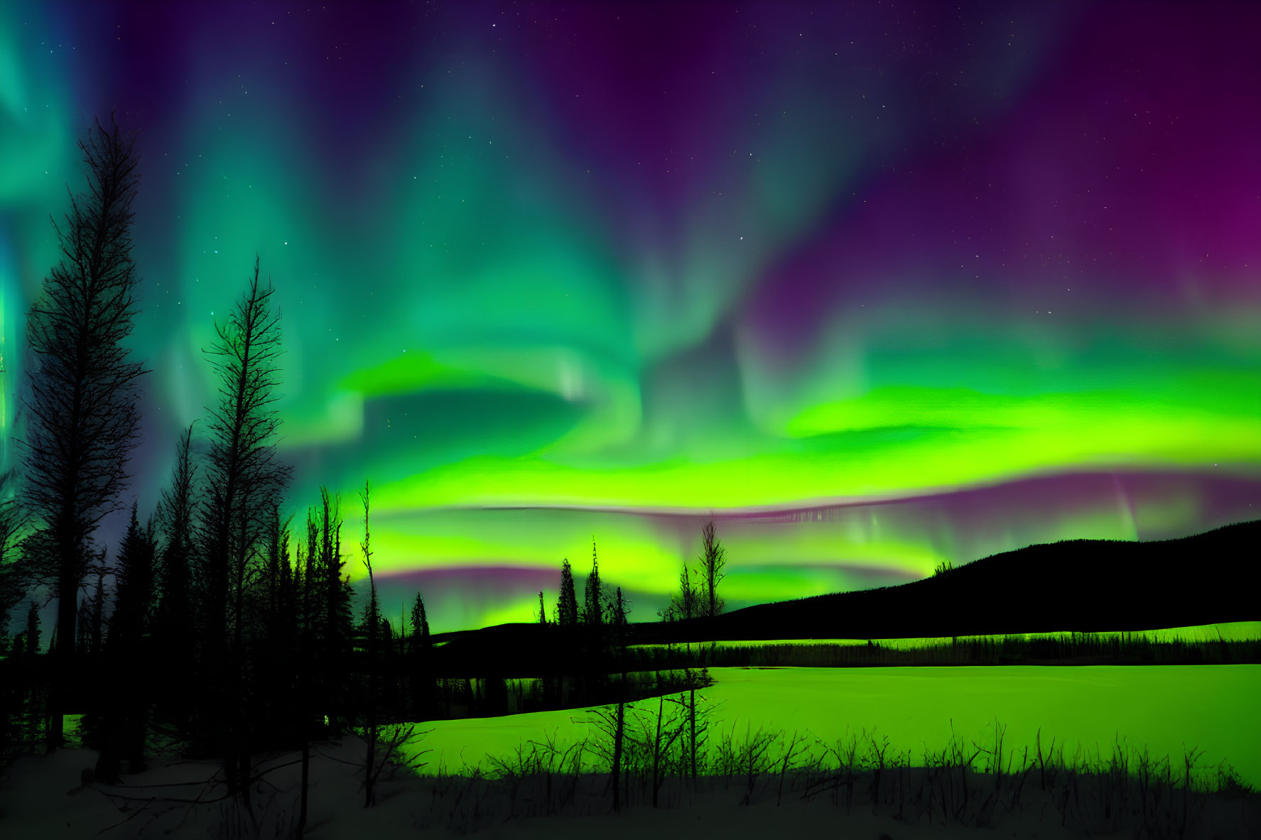 Colorful aurora borealis lights up snowy landscape with silhouetted trees.