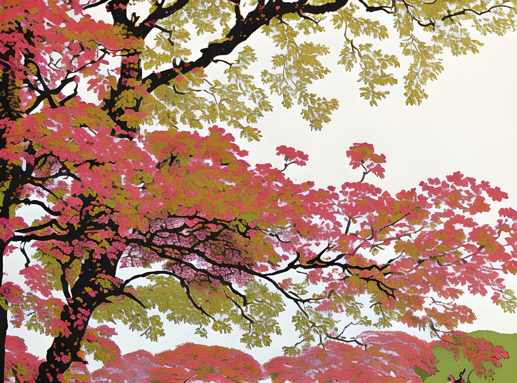 Colorful Tree Branches with Pink and Green Foliage on White Background