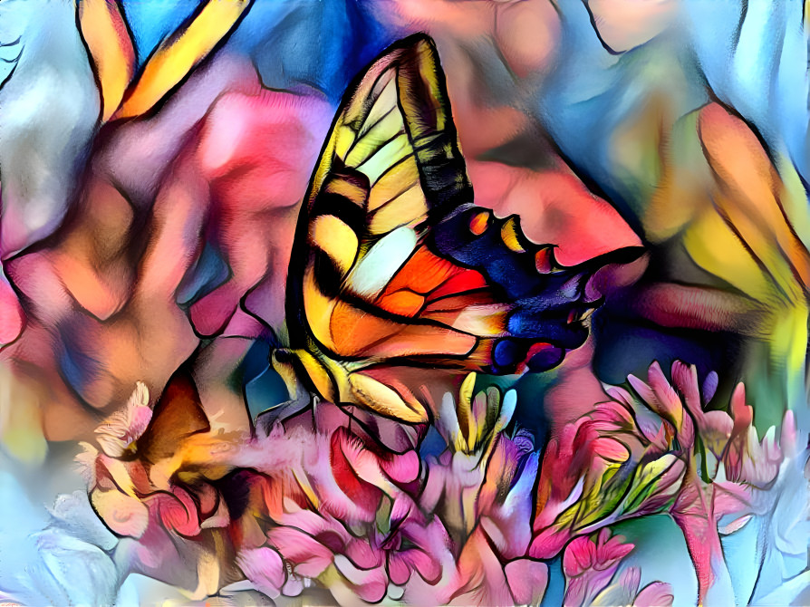 Butterfly