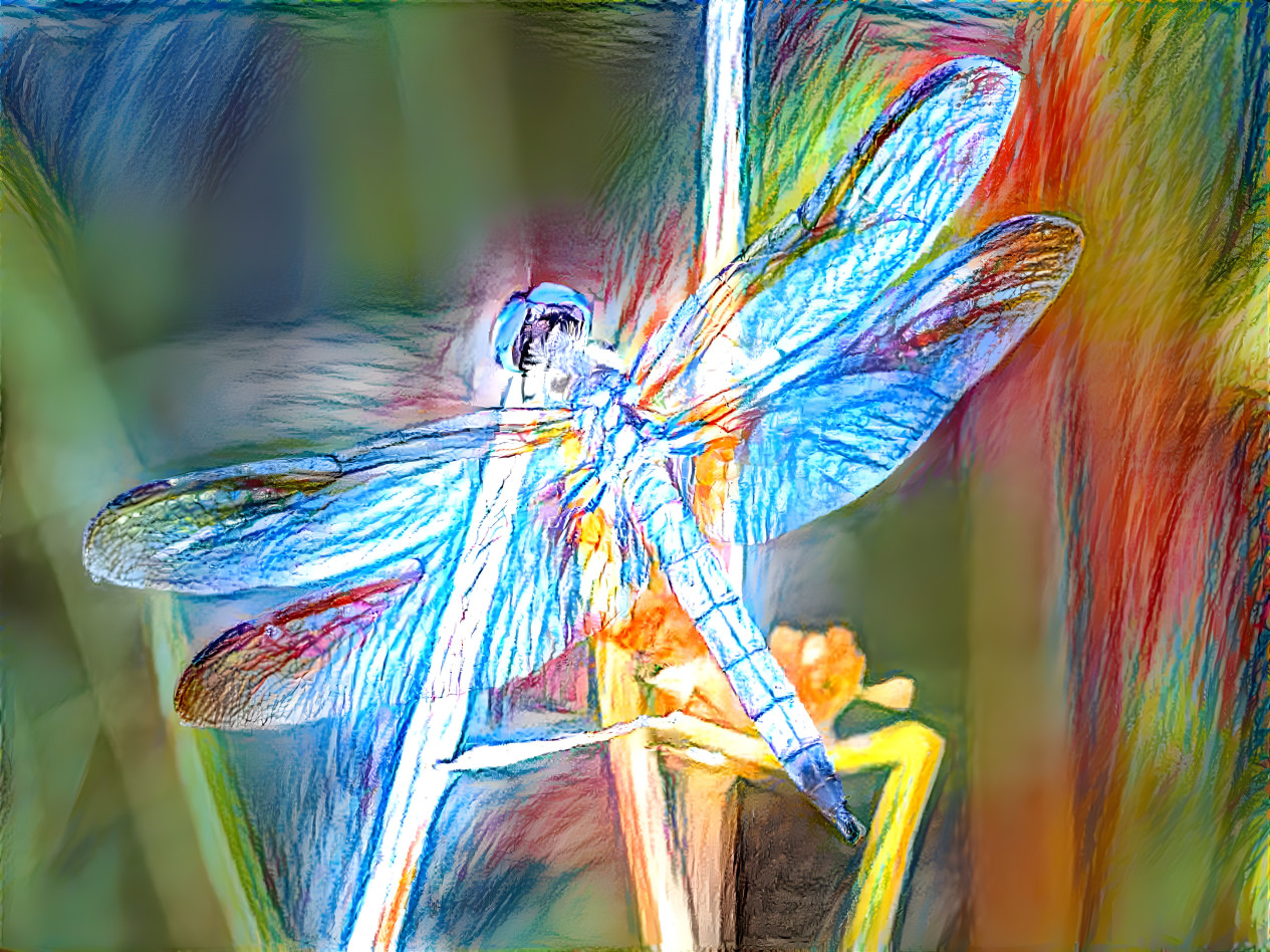 Dragonfly