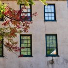 Colorful Autumn Leaves Painting with Building Section and Windows