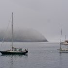 Historic harbor scene with sailing ships and rowboats under subdued sky