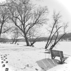 Snowy Winter Landscape with Leafless Trees and Frozen Creek