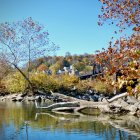 Tranquil autumn scene: golden foliage, serene lake, distant hills, blue sky