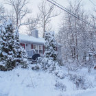 Snow-covered trees and cozy house in serene winter scene