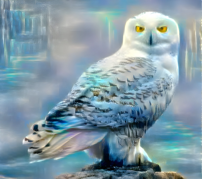 Mystic Owl