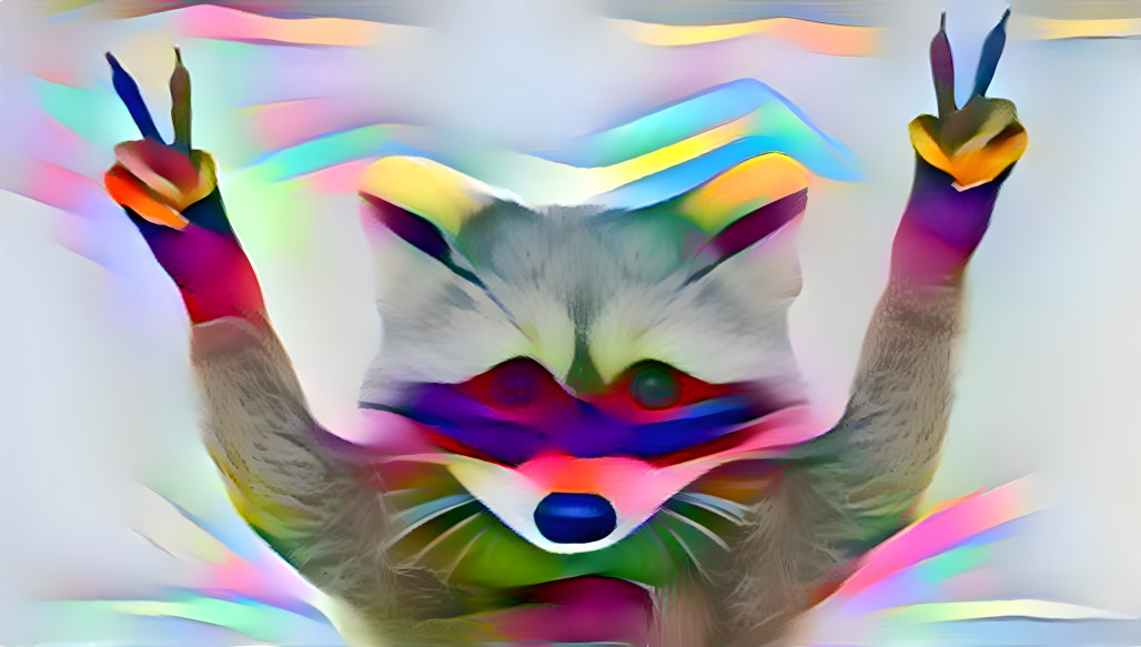 rainbow racoon