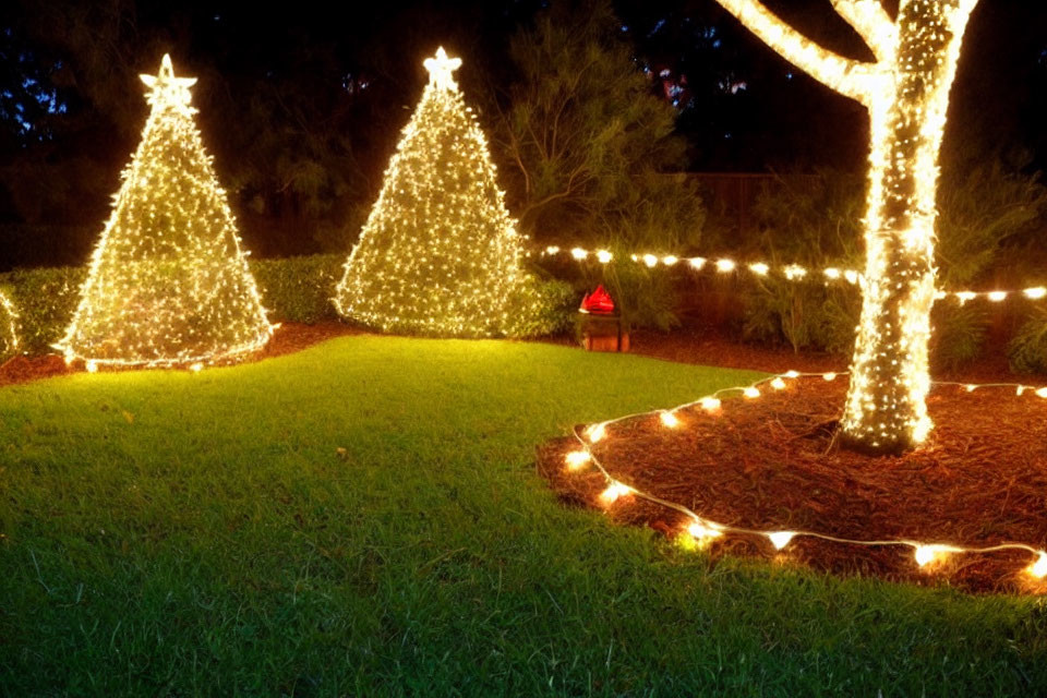 Illuminated Cone-shaped Trees and String Lights Outdoor Christmas Decor at Night