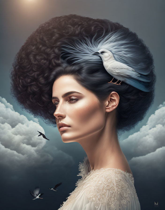 Portrait of woman with dark hair merging into clouds, white bird perched, against cloudy sky.