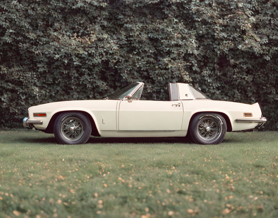 Beige Convertible Car with Chrome Wheels on Grass