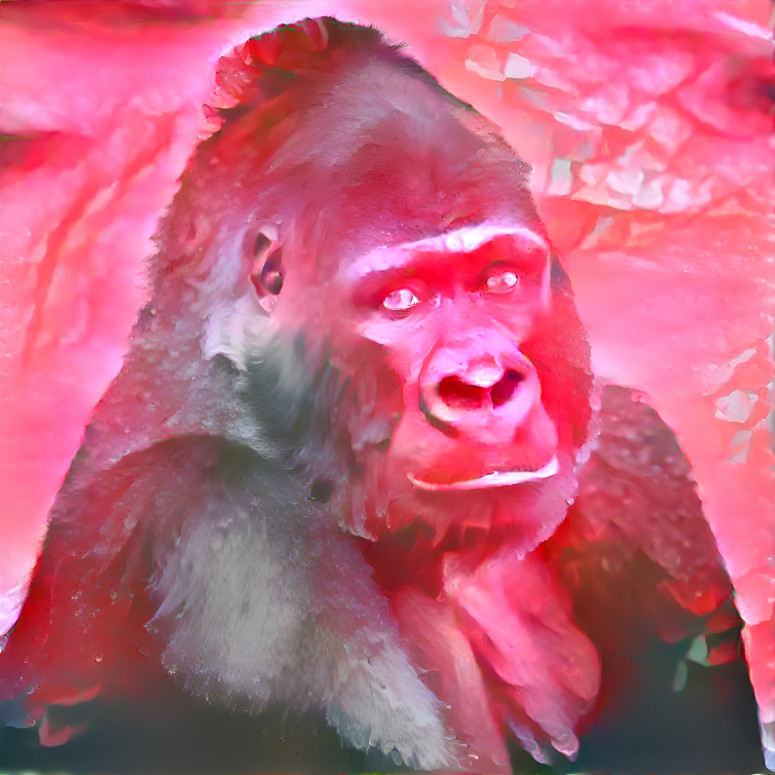 Gorilla