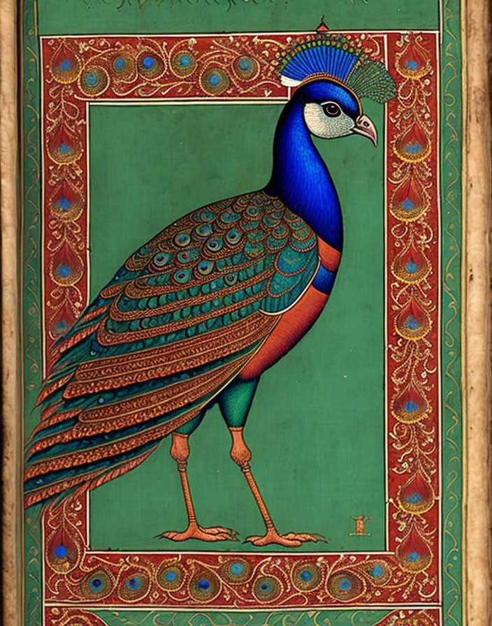 Colorful Peacock Illustration with Jewel Tones on Green Background