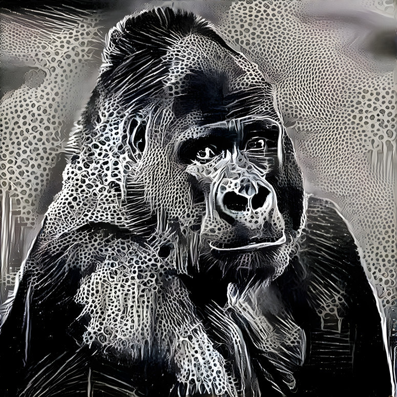 Gorilla