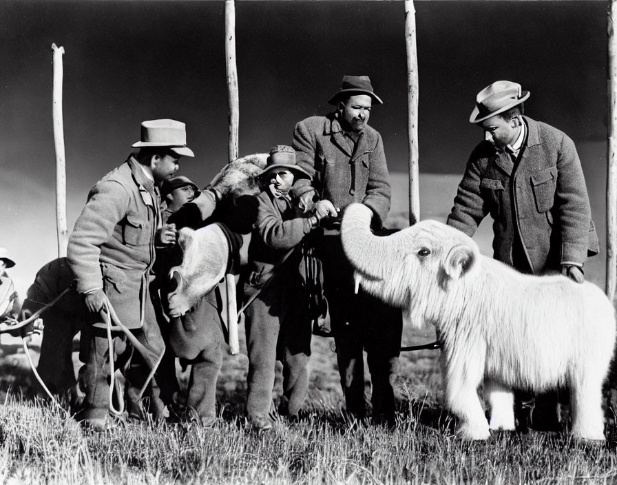 Vintage black and white photo: Four men, child on furry elephant