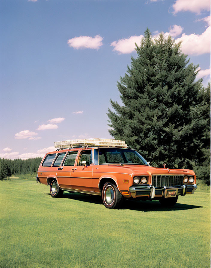 Vintage orange station wagon with wood paneling on green lawn with pine trees and blue sky