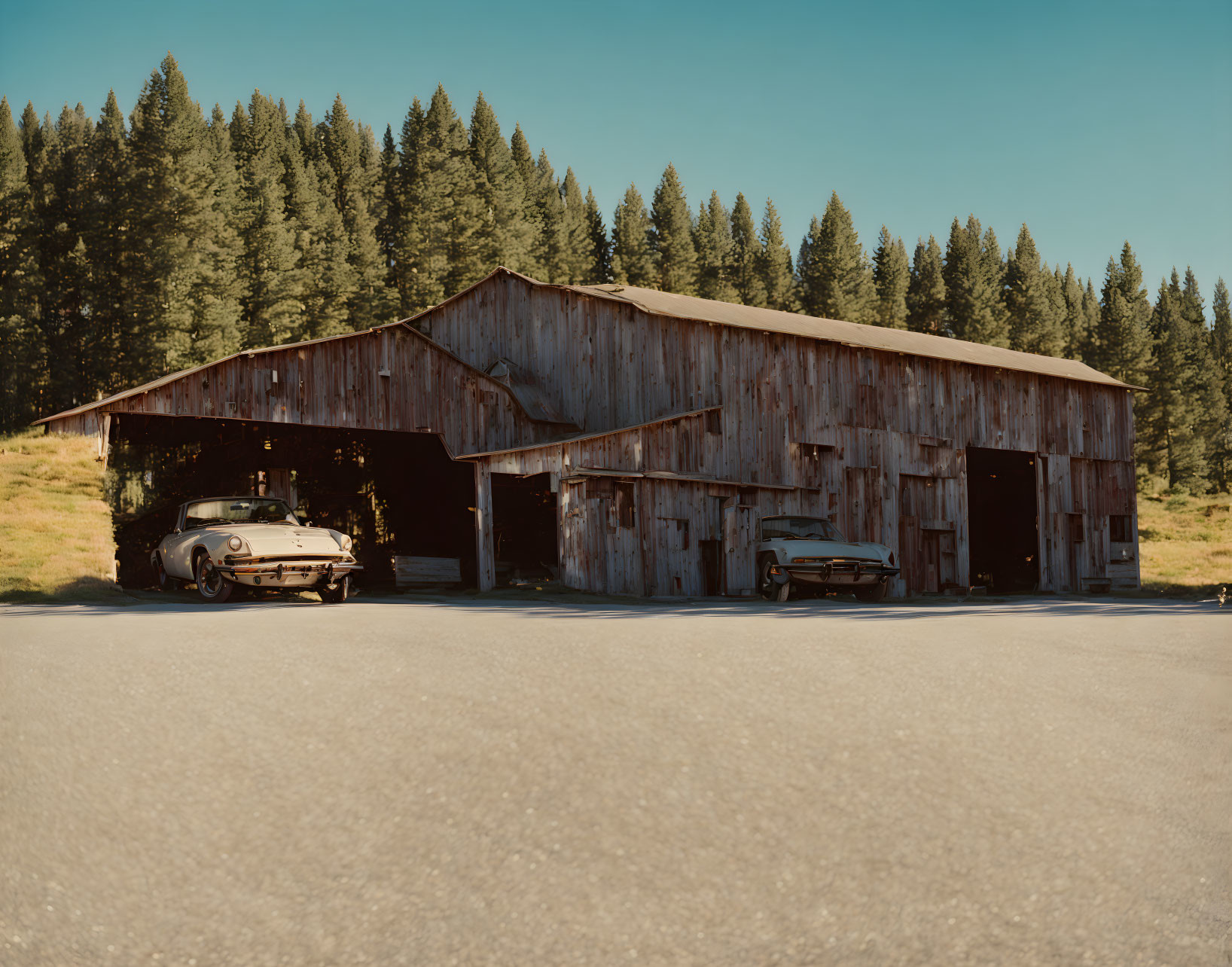 Weathered wooden barn in forest setting with vintage cars and open bays