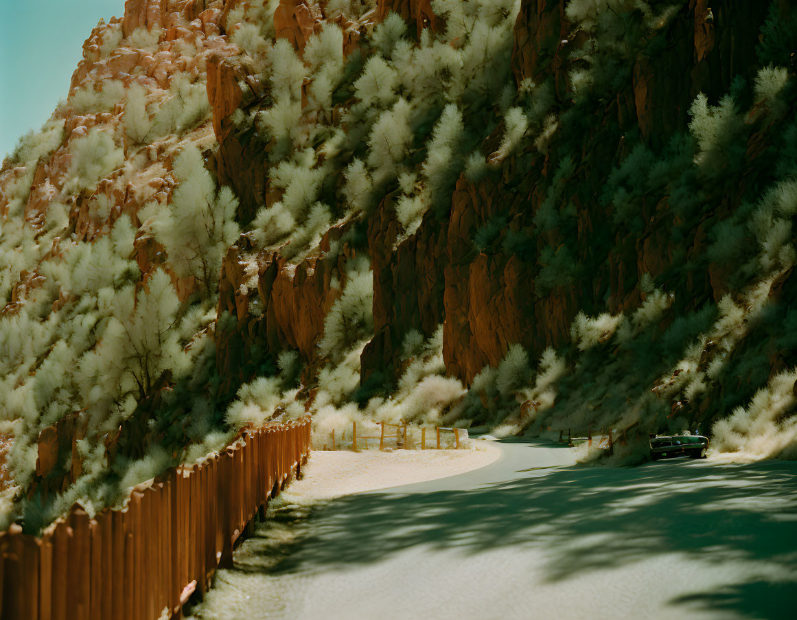 Scenic road through lush canyon with parked car