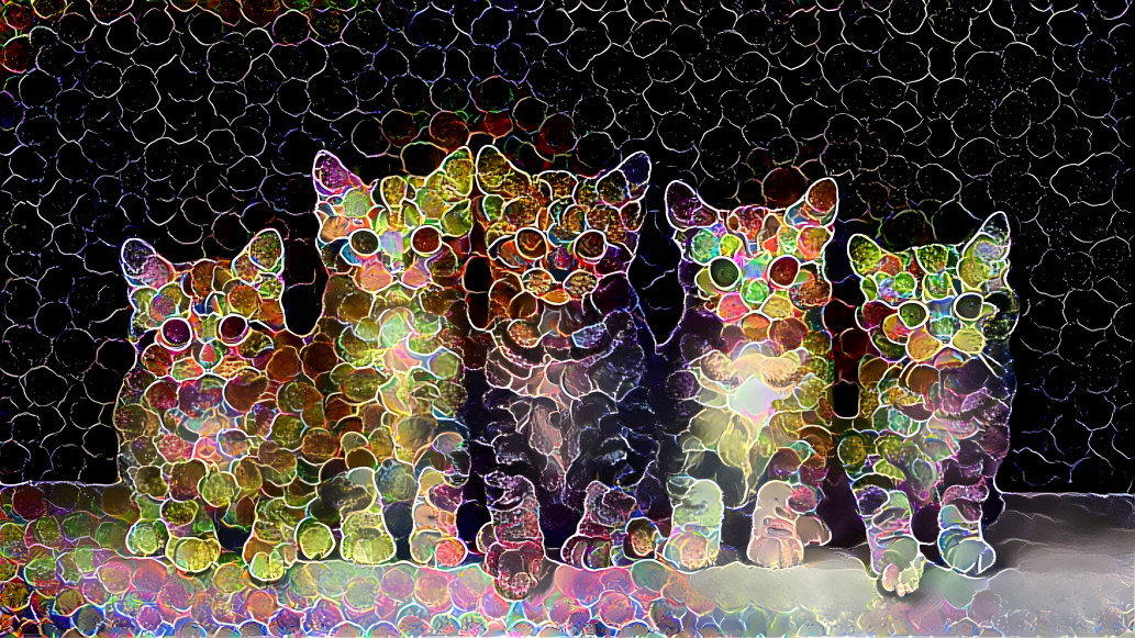 Brillant Kitties