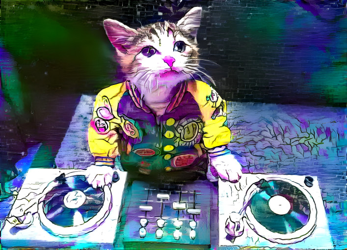 dj cat 