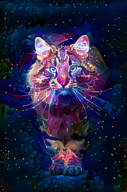 Spacecat