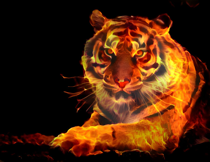 Fire Tiger