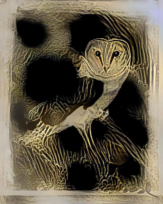 The Owl