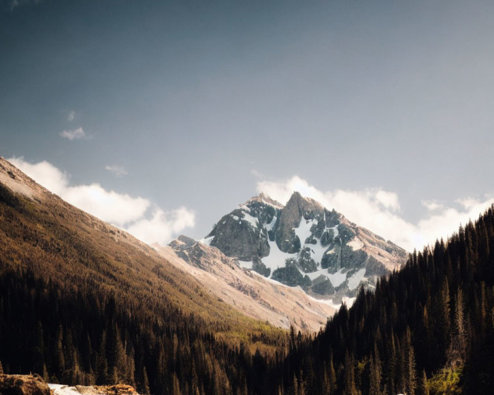 Snow-capped mountain peak overlooking forest with two people gazing up