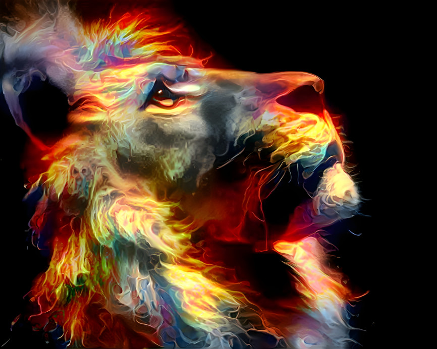 Fiery Lion