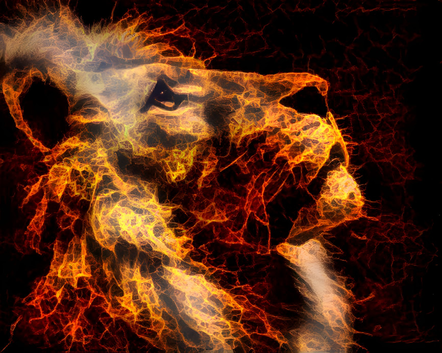 Fire Lion