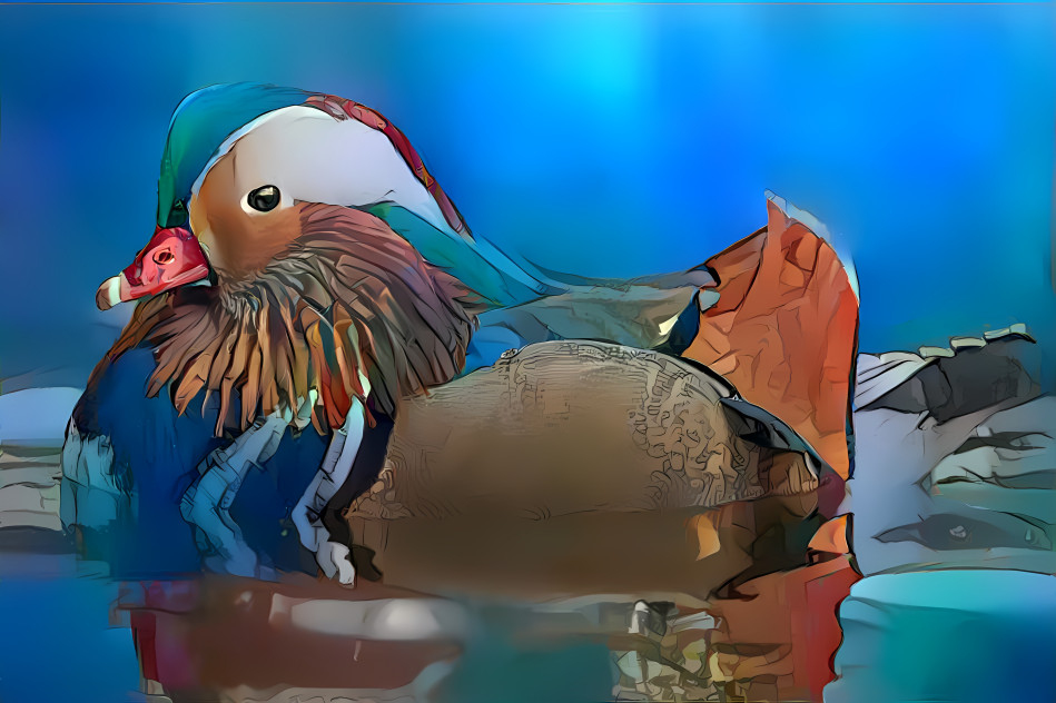 Cartoon Mandarin Duck