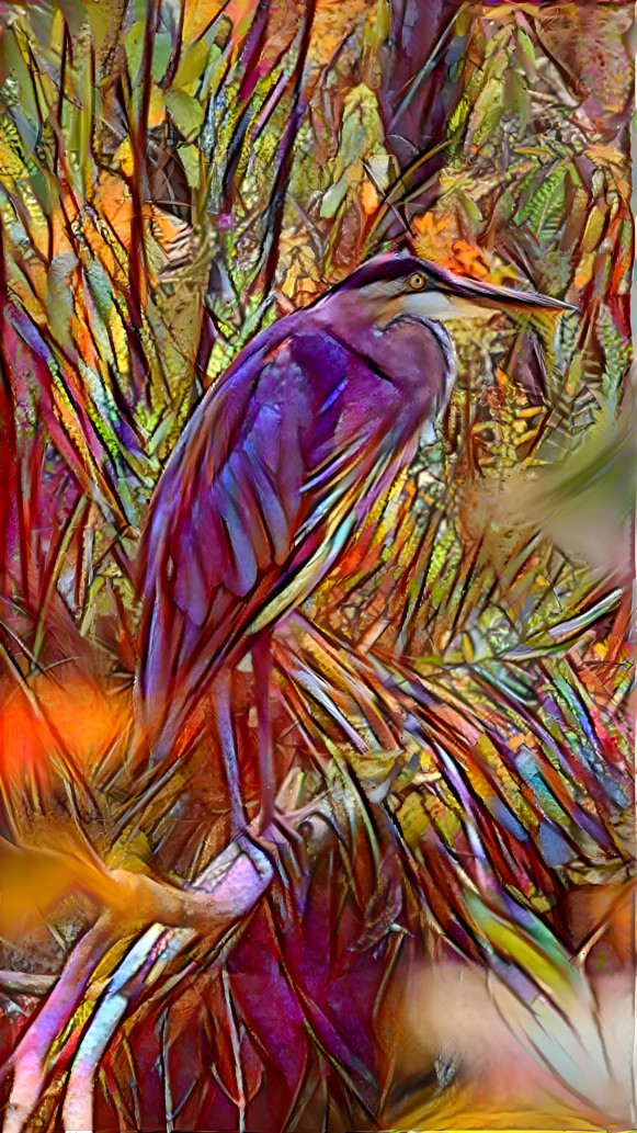 Heron