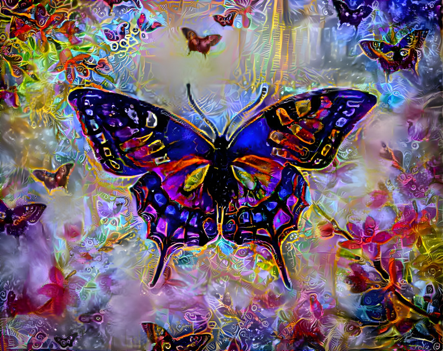 Butterfly