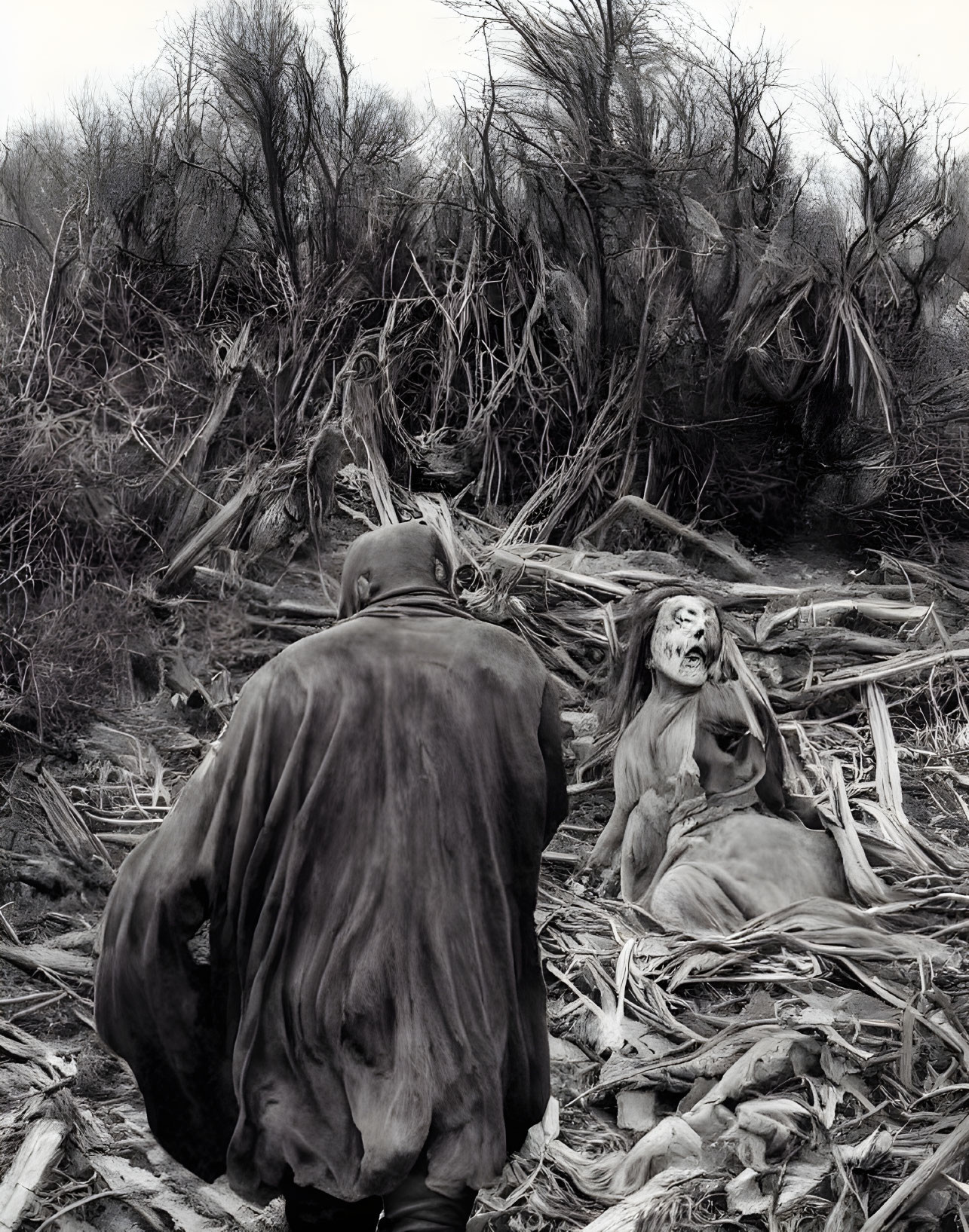 Dark art: Two draped figures in desolate woods with skull