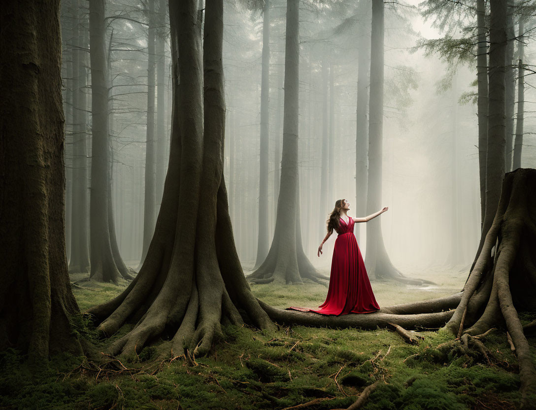 Woman in Long Red Dress in Misty Forest with Sunlight Beam