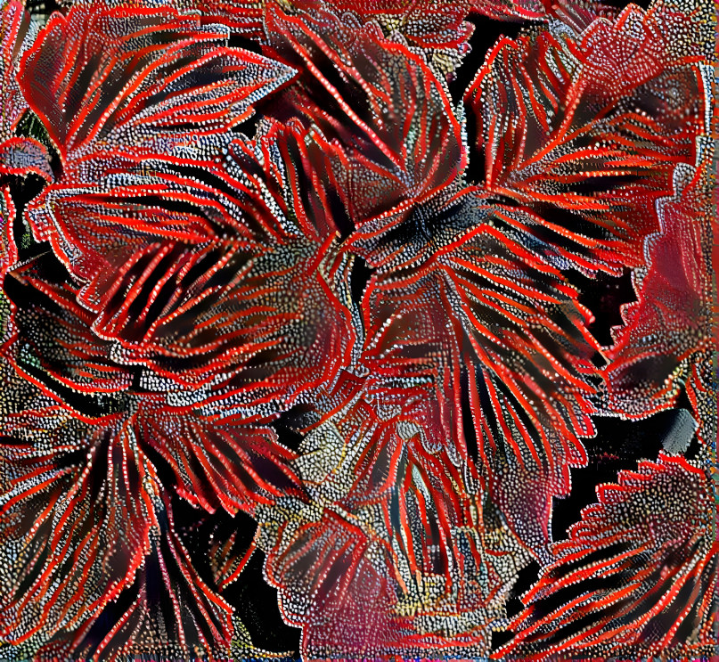 Coleus Leaves