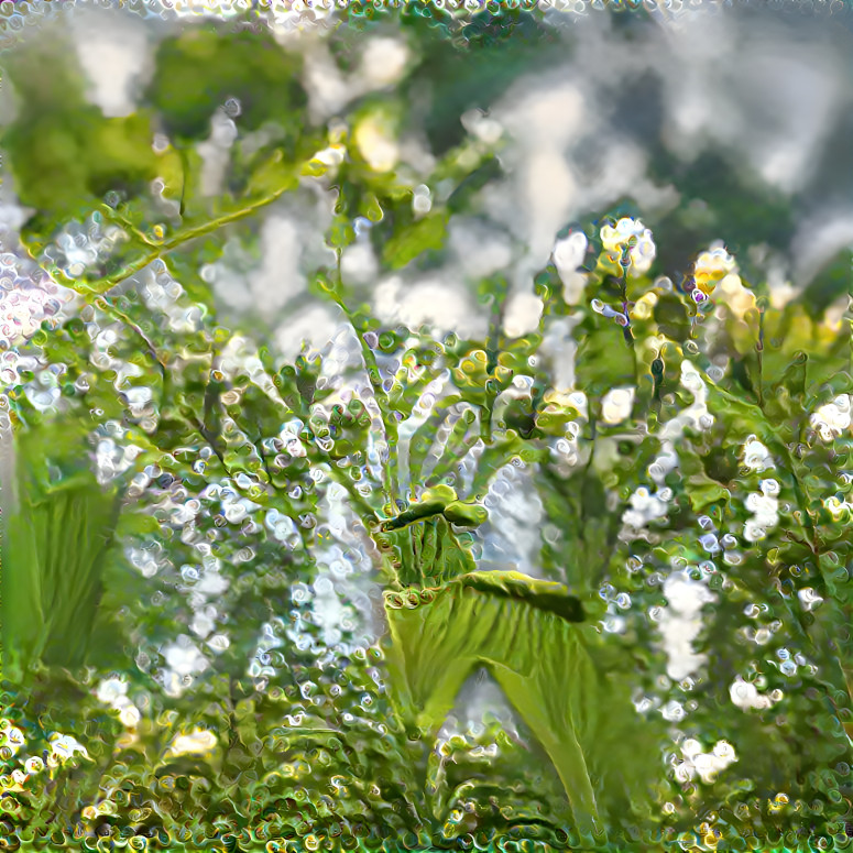 Dewy Flowers