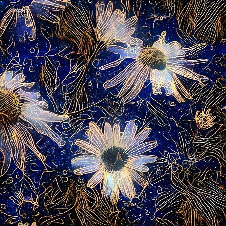 Daisies at Night