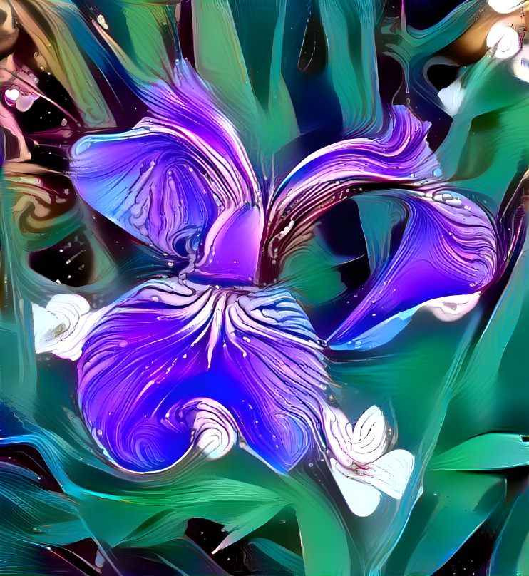 Blue Iris 