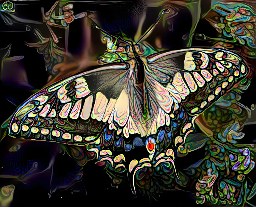 Papilio Machaon